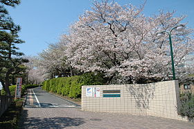 静岡県立浜松西高等学校
